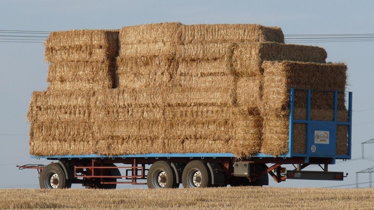 straw bales